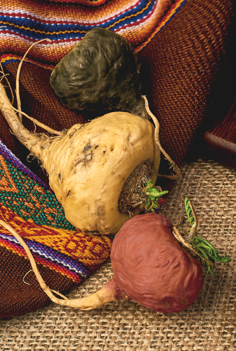 maca-roja